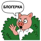Блогерка